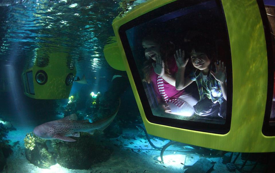 LEGOLAND® Dubai’nin yeni denizaltı macerası ile derinlerin gerçek sakinlerinin yaşamını keşfedin